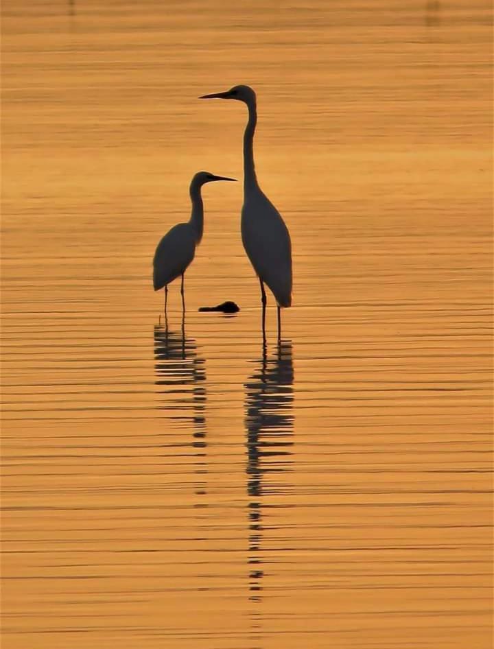 Tratturo Dei Greci, Biocasa * Lesina